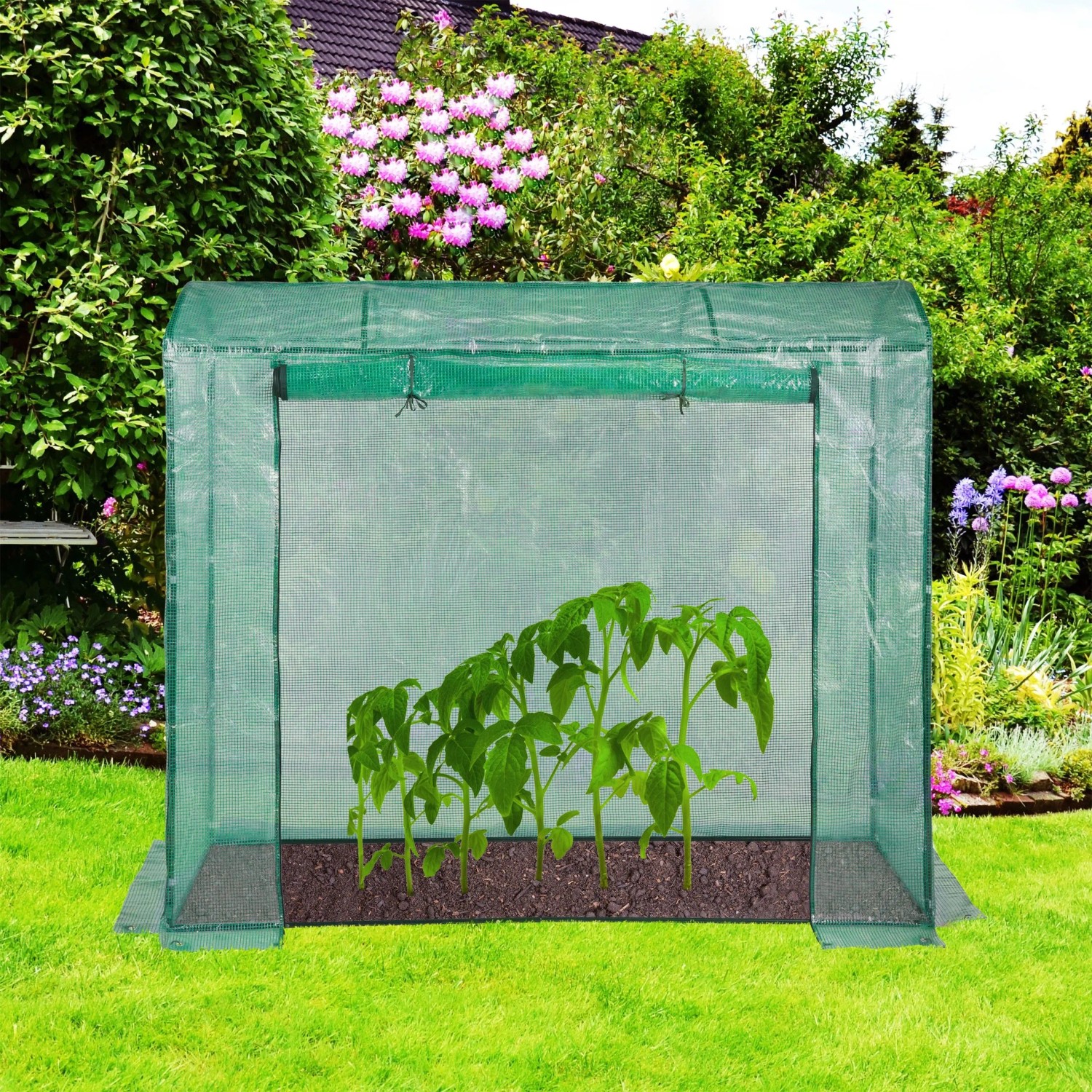 Grünes Tomatengewächshaus aus Polyethylenfolie mit Stahlrahmen im Garten. Junge Tomatenpflanzen wachsen darin.