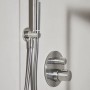 Ideal Standard Brauseschlauch Idealrain Atelier Idealflex 1750 mm in Silver Storm.