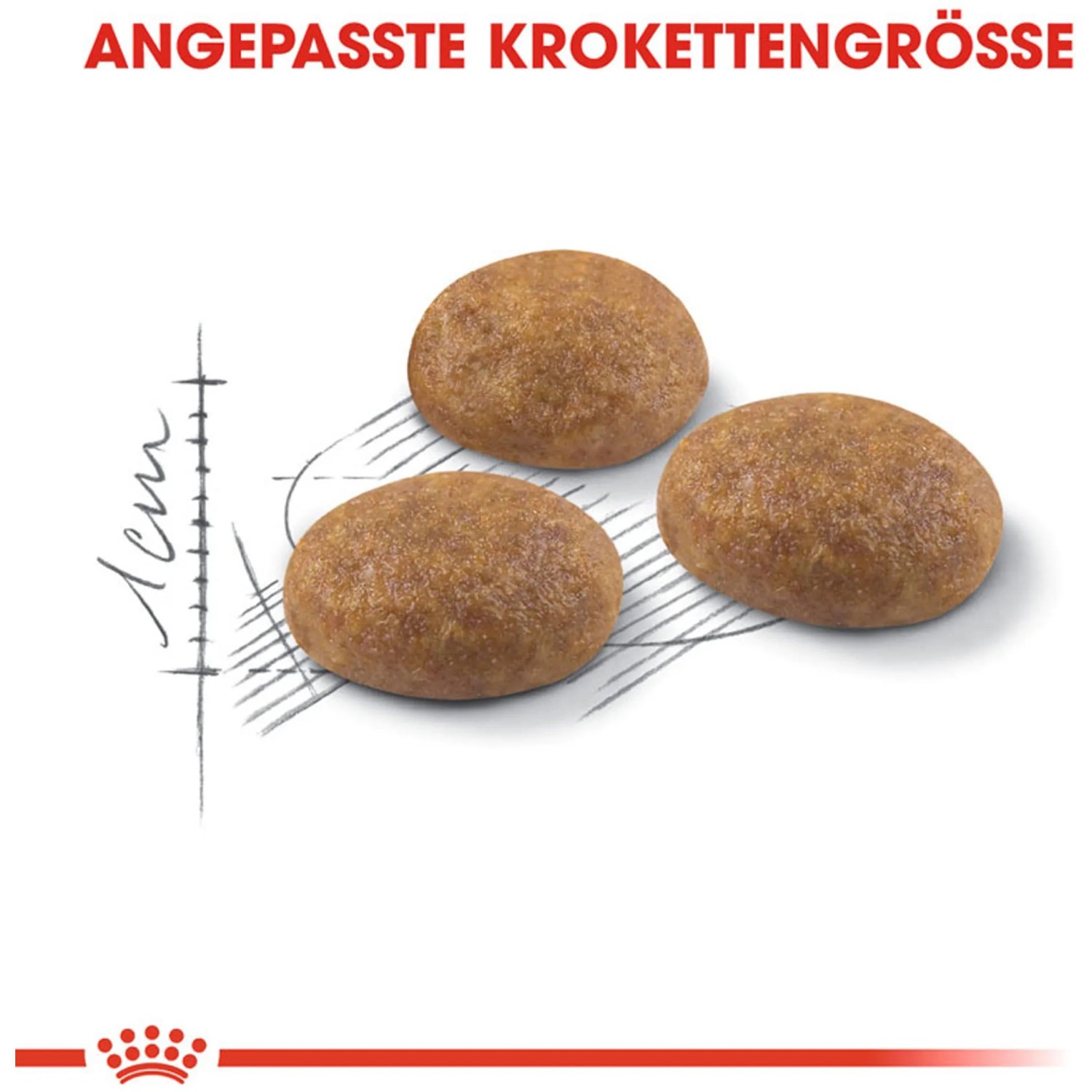 Drei Kroketten Royal Canin Outdoor Katzenfutter, angepasst für Freigänger Katzen.