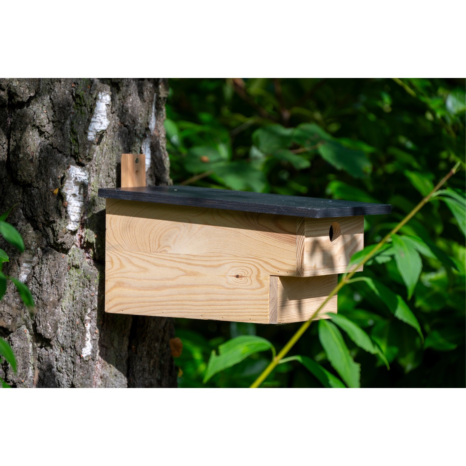 Holz Nistkasten für Höhlenbrüter am Baum befestigt.