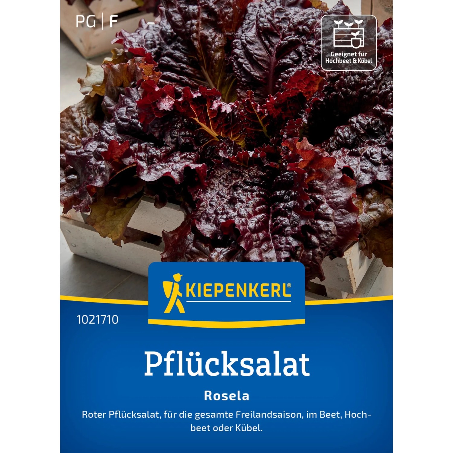 Kiepenkerl Pflücksalat "Rosela"