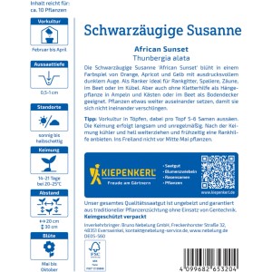 Kiepenkerl Saatgut Schwarzäugige Susanne African Sunset