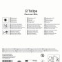 Kiepenkerl Blumenzwiebel Mega-Pack Gefüllte frühe Tulpen Foxtrot Mix 12 Stück_2