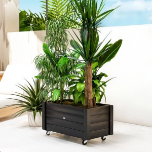Schwarzes Outsunny Hochbeet aus Tannenholz mit Rollen, bepflanzt. Mobiler Pflanzkasten für Garten und Balkon.