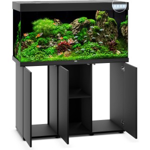 Schwarzes Juwel Aquarium Rio LED SBX 350 l mit Unterschrank, bepflanzt und mit Fischen.