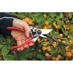 Felco Gartenschere 9 für Linkshänder schneidet Ast im Garten.