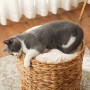 Grau-weiße Katze liegt entspannt in brauner PawHut Kratztonne aus Wasserhyazinthe.