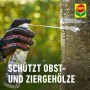 Anwendung des Compo Bio Leimsprays gegen Raupen und Ameisen auf einem Baumstamm.