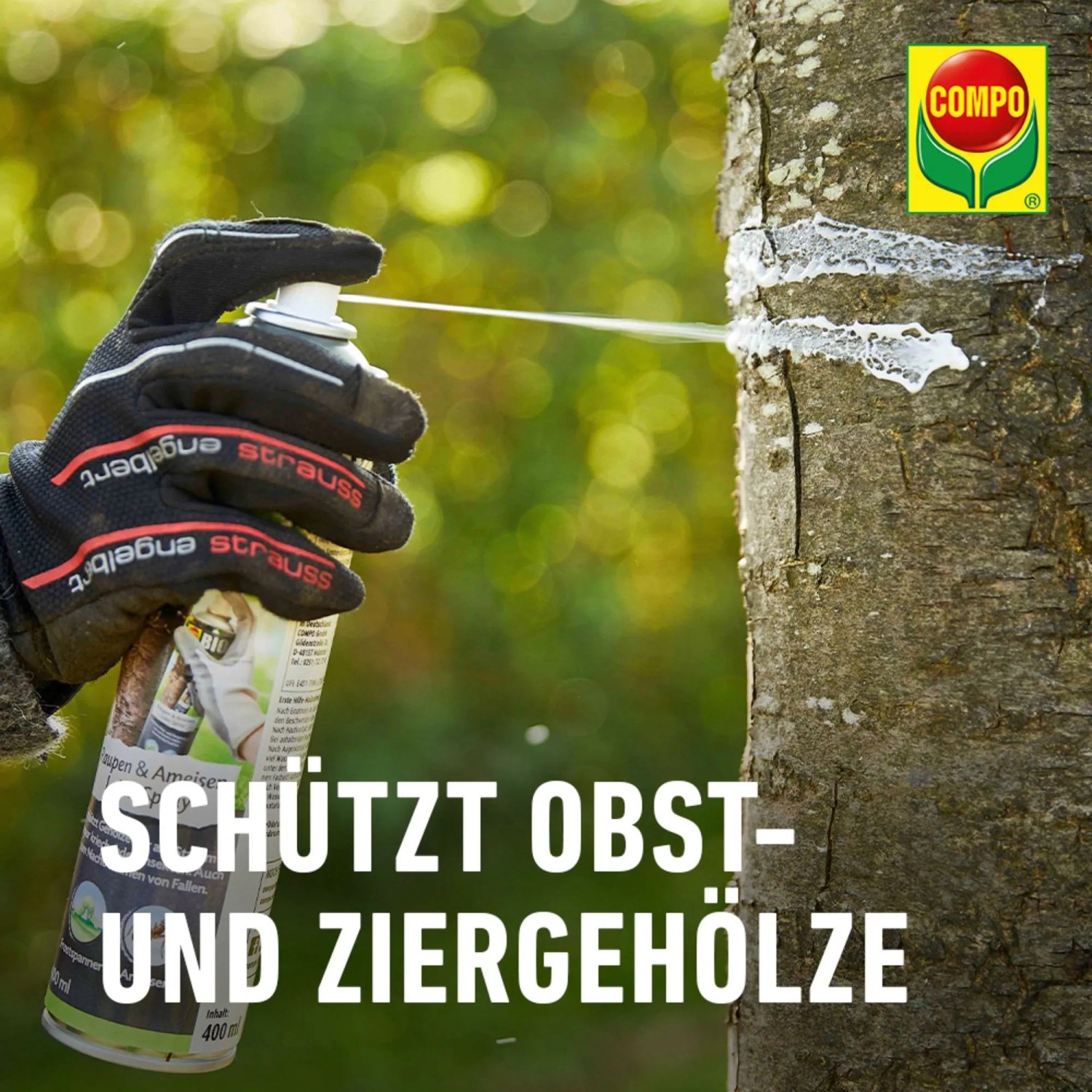 Anwendung des Compo Bio Leimsprays gegen Raupen und Ameisen auf einem Baumstamm.