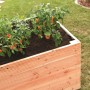 Hochbeet aus Douglasie (100x200x72,5cm) mit Bepflanzung im Garten.