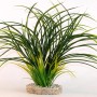 Kunststoff Pflanze Fan Gras, 30cm hoch, für Aquarien und Terrarien.