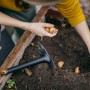 Fiskars Solid Kombihacke beim Pflanzen von Blumenzwiebeln im Gartenbeet.