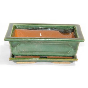 Grüne Bonsai Schale mit Unterteller, Ø 20cm, für Bonsai Bäume.