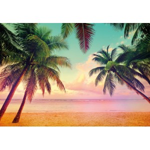 Komar Fototapete Miami mit Palmenstrand und Meer für Urlaubsfeeling Zuhause.