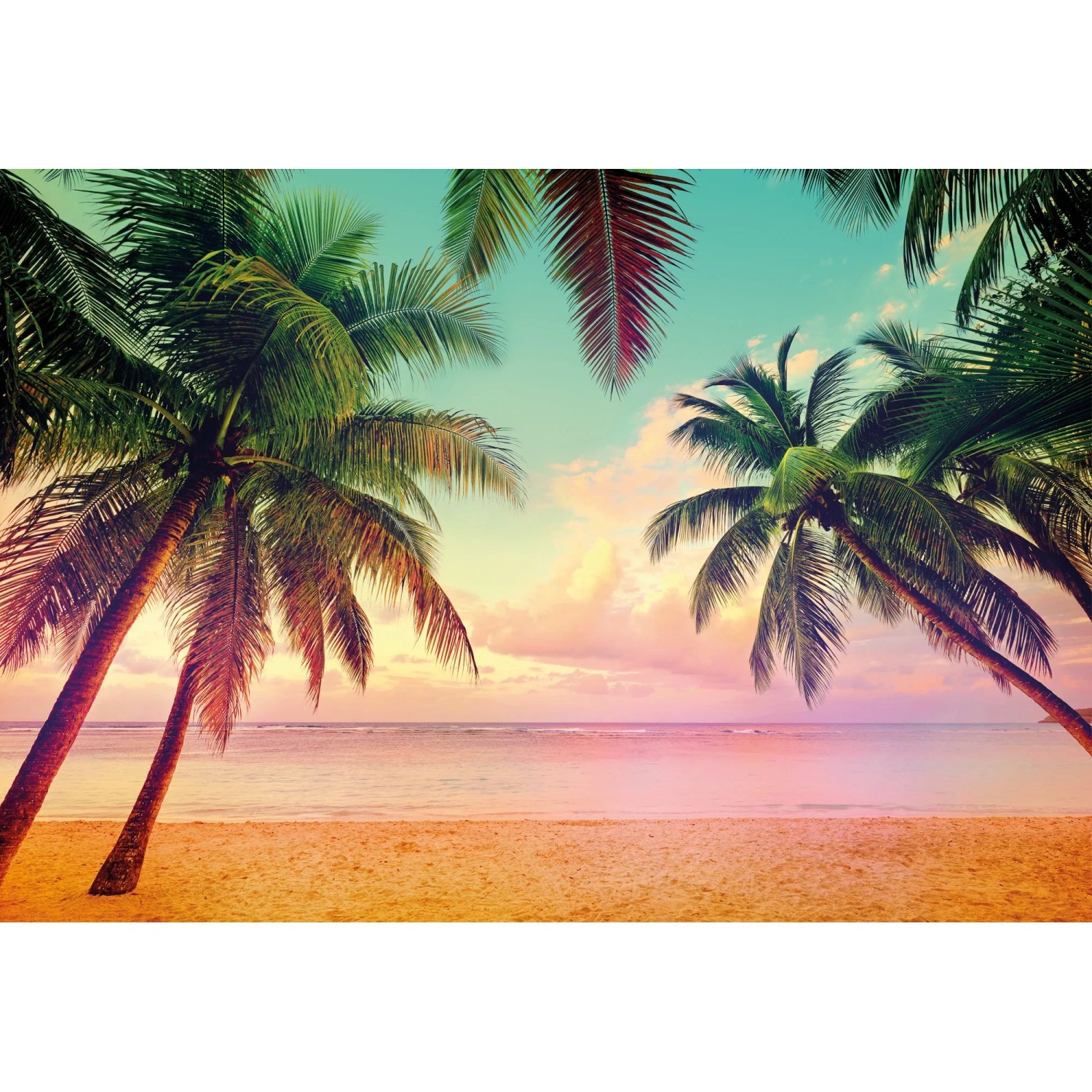 Komar Fototapete Miami 368 cm x 254 cm FSC®
