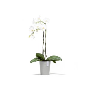 Ecopots Pflanztopf Morinda, weißgrau, 17x19cm, mit weißer Orchidee. Ideal für Innen- und Außenbereich.