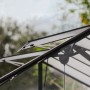 Detailaufnahme: Palram Canopia Gewächshaus Triomphe Schwarz mit geöffneten Dachfenstern.
