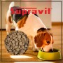 Beagle frisst Supravit Trockenfutter Lamm & Reis aus Napf. Nahaufnahme der Futterbrocken. Hochwertiges Hunde-Trockenfutter.
