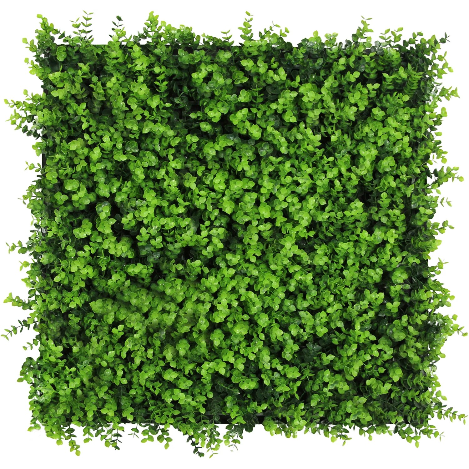 Jangal Wandpaneel Modular Wall Mixed Green Design Buxus 52 x 52 cm