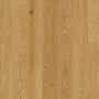 Parador Parkett Eiche Natur geölt, Landhausdiele. Helle, natürliche Holzoptik für Wohnräume.