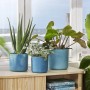 Drei Elho Blumentöpfe Ocean Collection Ø 14 cm in Atlantikblau mit Pflanzen auf einem Tisch vor einem Fenster.