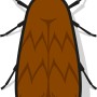 Illustration einer braunen Lebensmittelmotte, Schädling für Vorräte, zur Verwendung mit Nexa Lotte Mottenfallen.