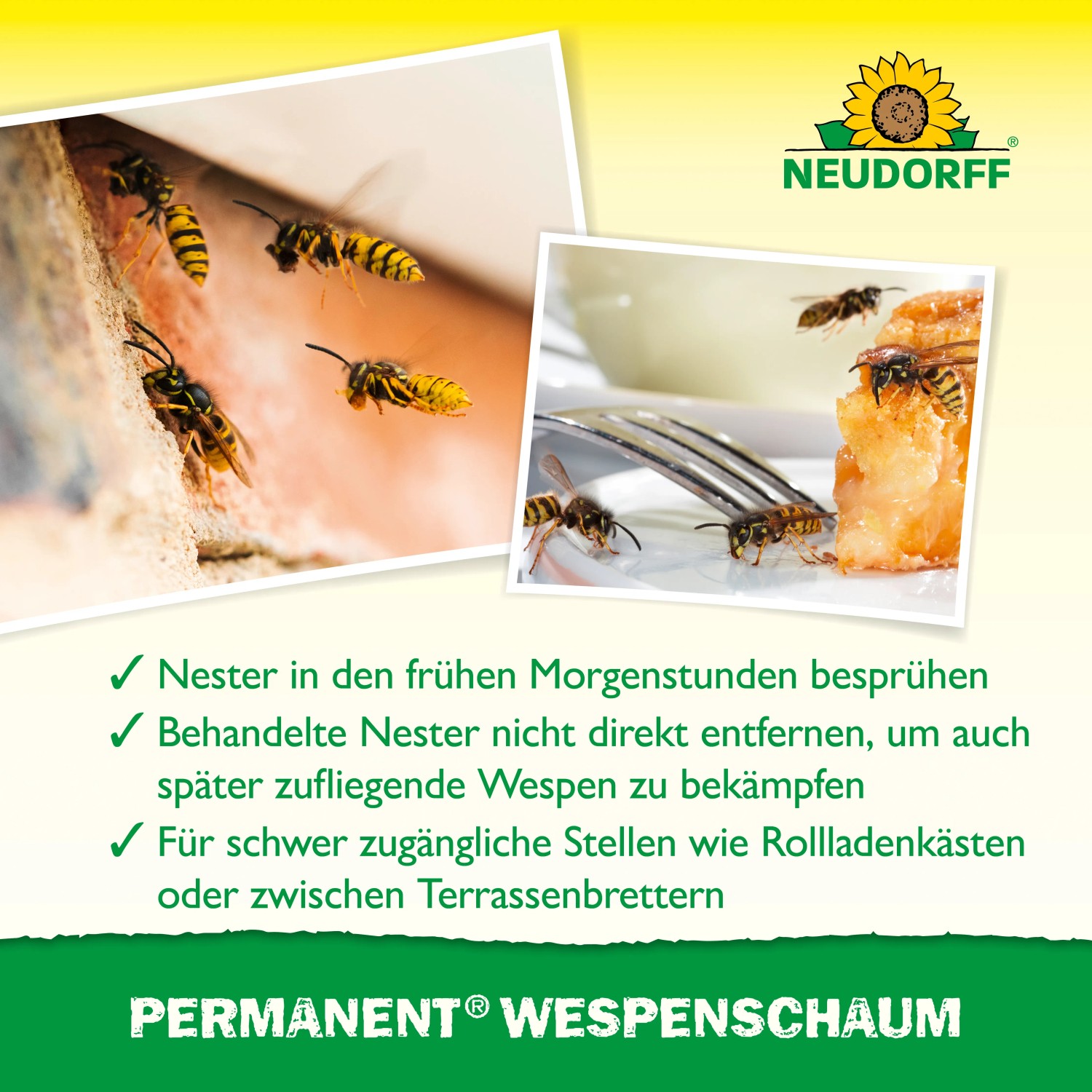 Wespen an Nest und Speisen, Neudorff Permanent Wespenschaum zur Wespenbekämpfung.