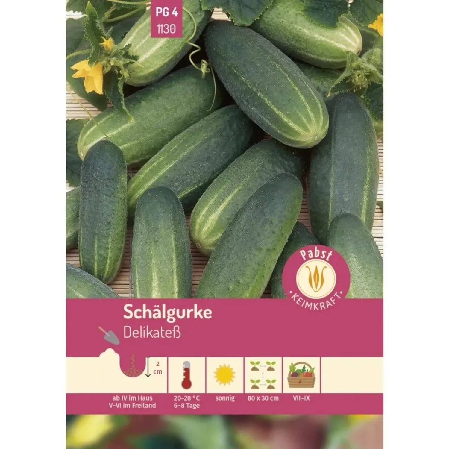 Pabst Keimkraft Schälgurke Früh & Mittellang Delikateß Saatgut
