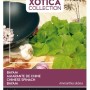 Armant-Bayam Buzzy Xotica Samen Ca. 1,5 g Aussaat von März bis Juli