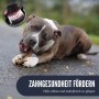 Supravit ChewDeer Beef Geschmack Kauspielzeug für Hunde_6