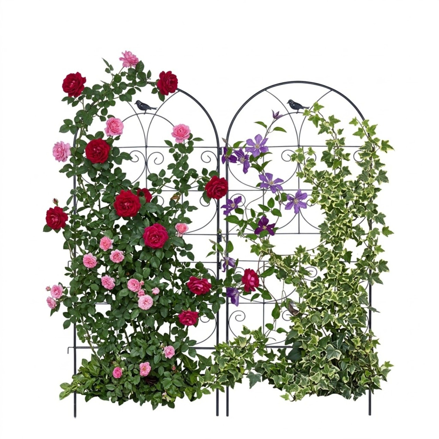 Relaxdays Rankgitter Vogel Stahl Schwarz Wetterfest 2er Set 116 cm x 50 cm x 1 cm