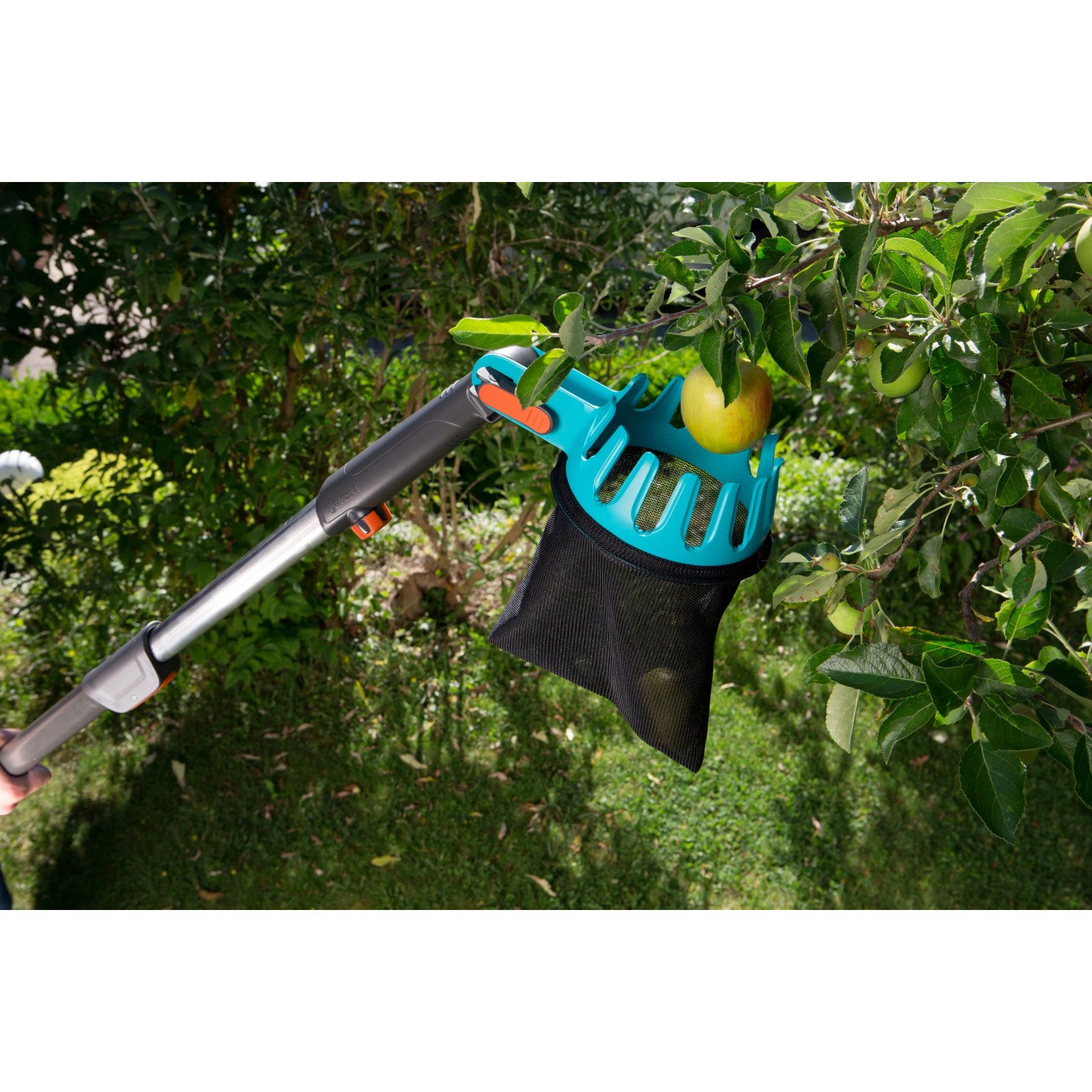 Gardena combisystem Obstpflücker mit Teleskopstiel beim Pflücken von Äpfeln.