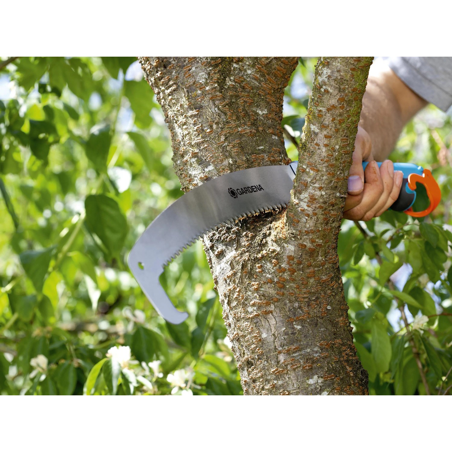 Gardena combisystem Gartensäge 300 PP gebogen im Einsatz beim Sägen eines Astes.