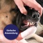 Anwendung der Canosept Zahnpflege Finger-Pads zur Reinigung des Hundegebisses.