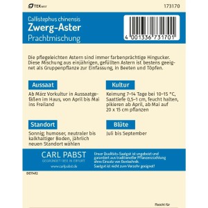 Pabst Keimkraft Zwerg-Aster Prachtmischung Saatgut Packung mit Infos zu Aussaat, Standort und Blütezeit.