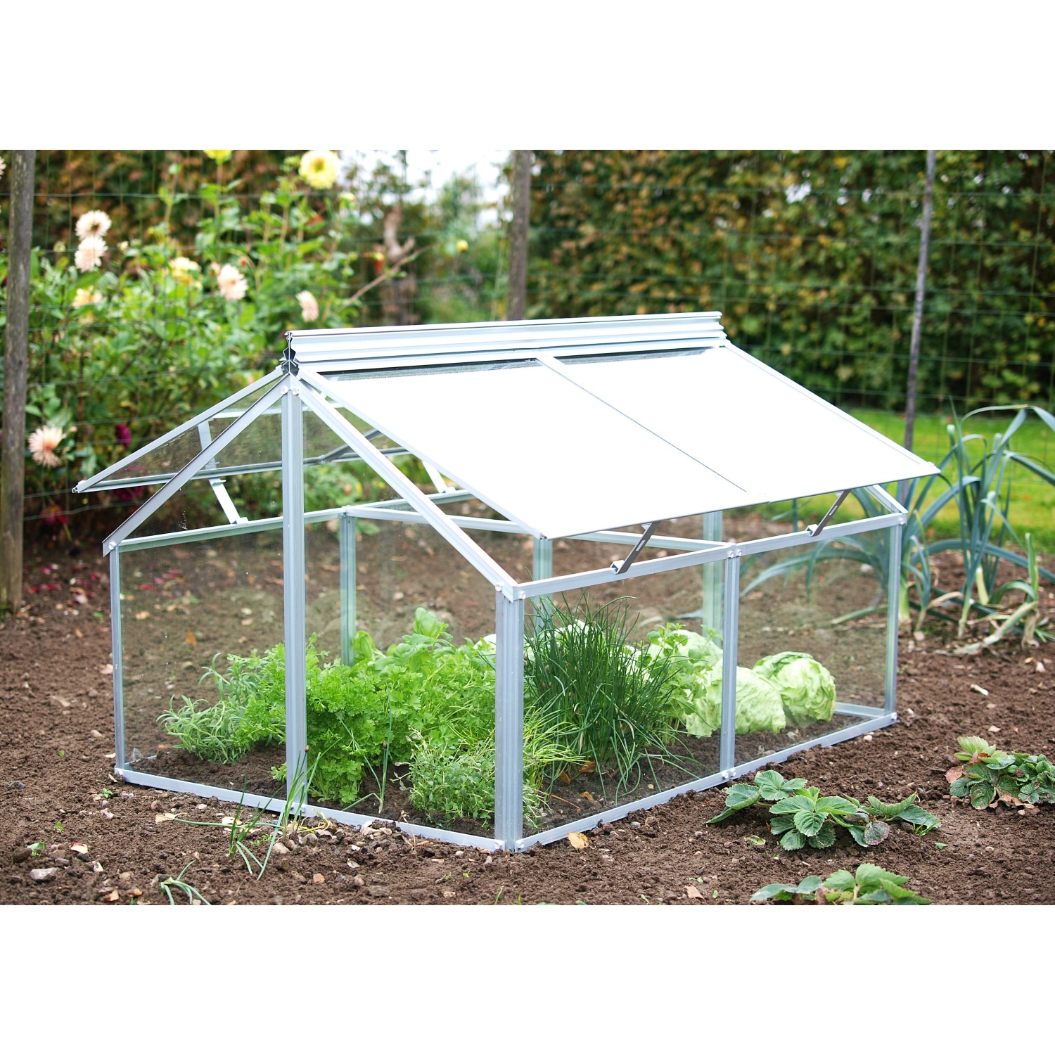 Vitavia Frühbeet Gaia Jumbo ESG 4 mm Alu B 83 cm x T 119 cm x H 72 cm