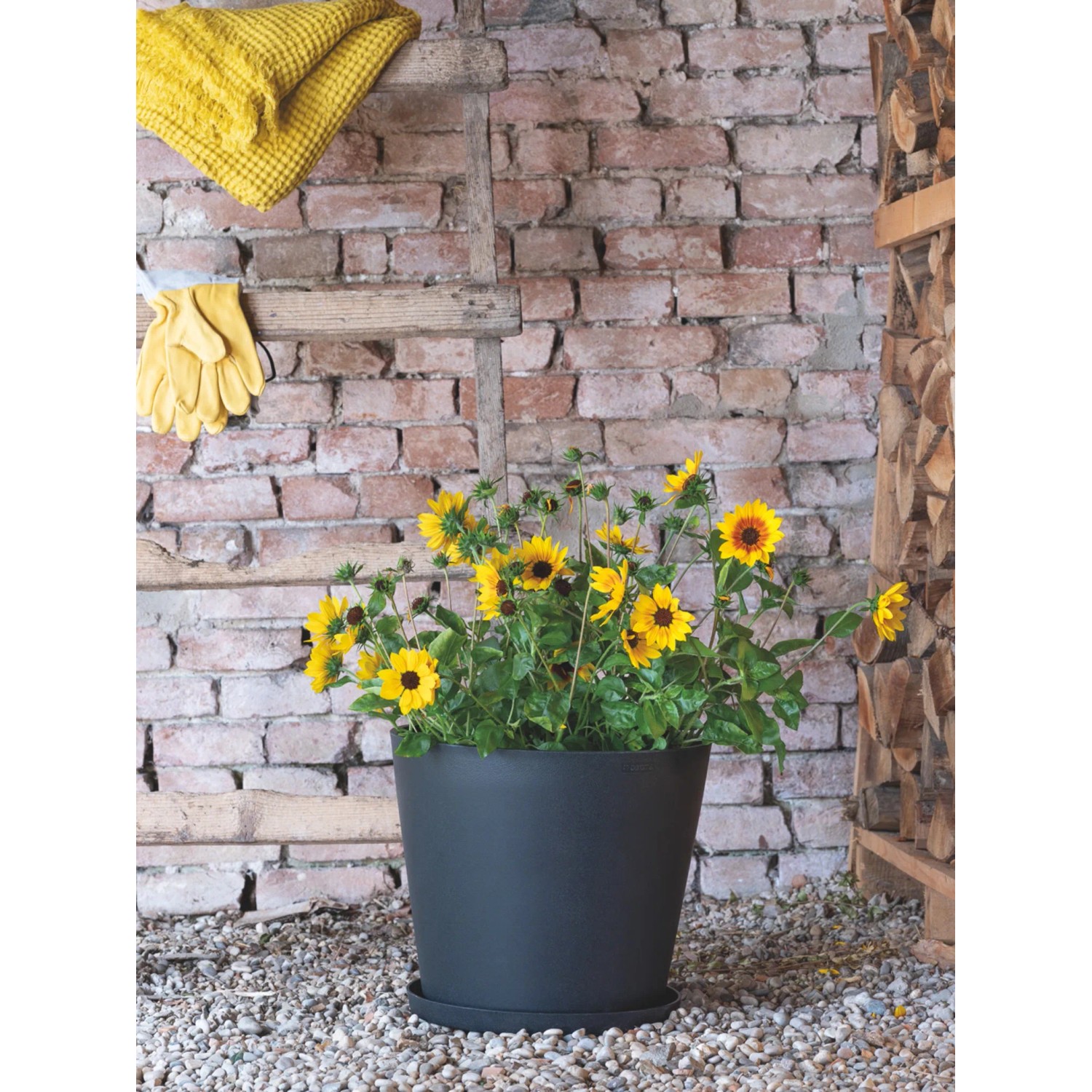 Anthrazitfarbener Deroma Pflanztopf Origin Plant Pot 24 cm mit Sonnenblumen bepflanzt.