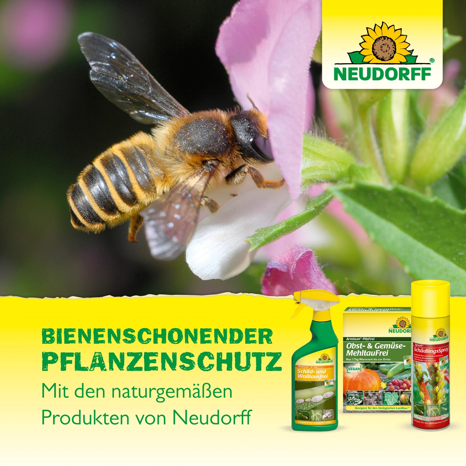 Neudorff Neudosan AF Neu Blattlausfrei mit Biene auf Blüte und Produktflaschen.