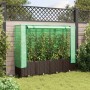 Braunes vidaXL Hochbeet mit Gewächshaus-Aufsatz im Garten, Rattan-Optik.