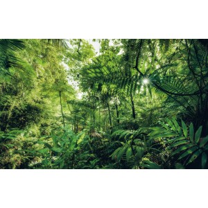 Komar Fototapete Vlies Into The Jungle: Detailreiche Dschungel-Szene mit üppiger, grüner Vegetation.