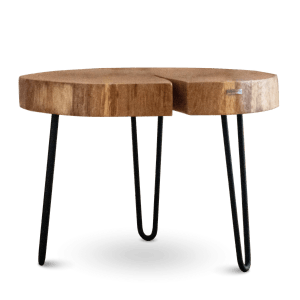 holz4home Couchtisch aus einer Baumscheibe 50 bis 64 CM