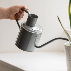 Graue Kent & Stowe Gießkanne (1 l) beim Bewässern einer Zimmerpflanze.