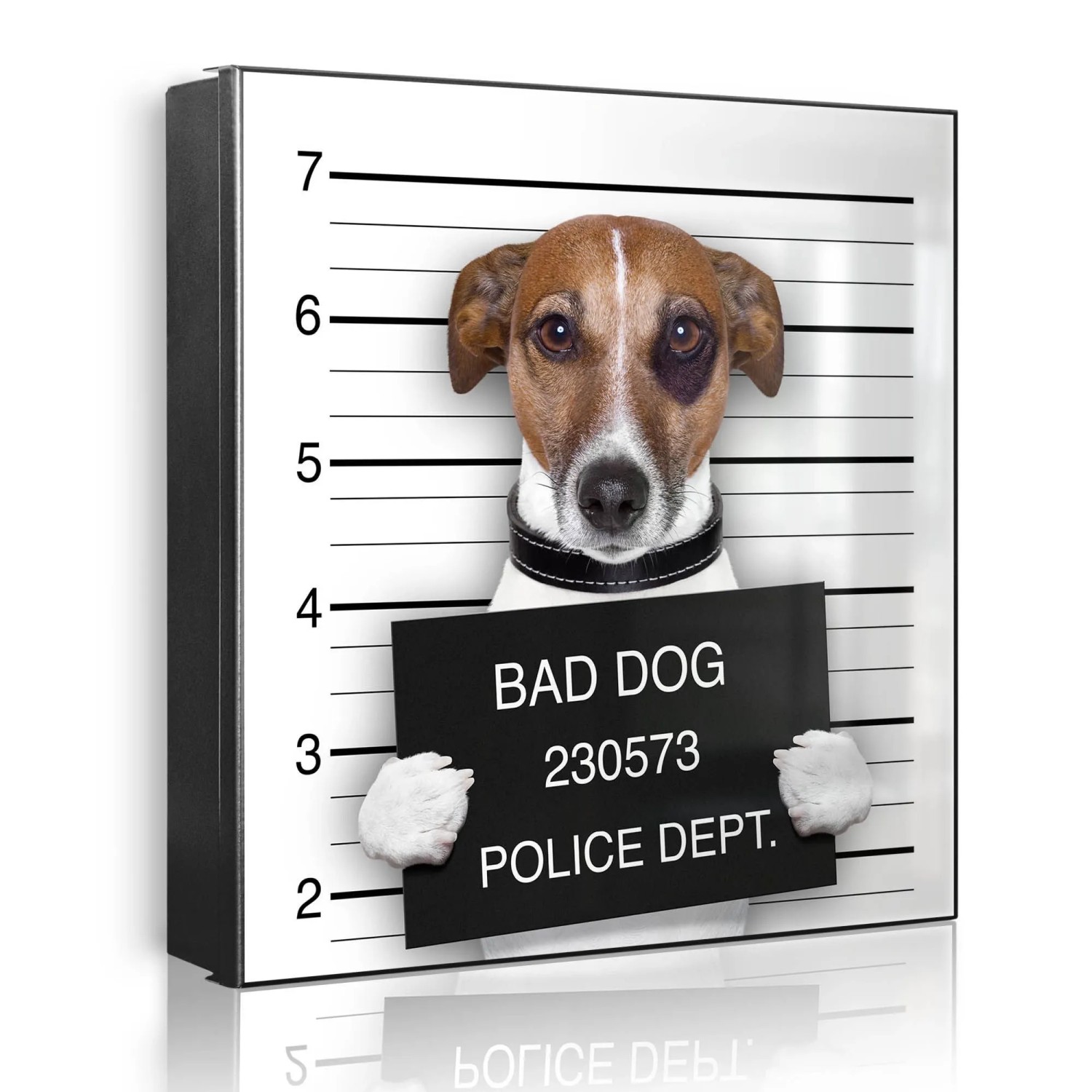 Banjado Großer Schlüsselkasten Metall 30x30cm Schwarz Scharnier Links 50 Haken Beschreibbar Magnetisch Motiv Bad Dog Jack Russel