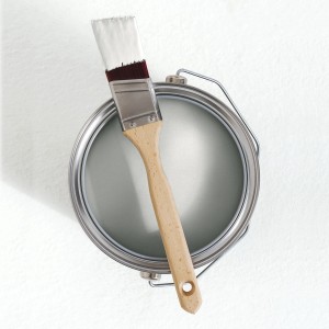 Draufsicht: Dose V&CO Innenfarbe Weißbirke mit Pinsel. Matte Wandfarbe für Innen.
