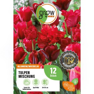 GROW by OBI Tulpen-Mischung, 4 Sorten, rote Blüten, ideal für Beet und Kübel.