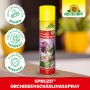 Neudorff Spruzit Orchideenschädlings-Spray 300ml zur Schädlingsbekämpfung an Orchideen.