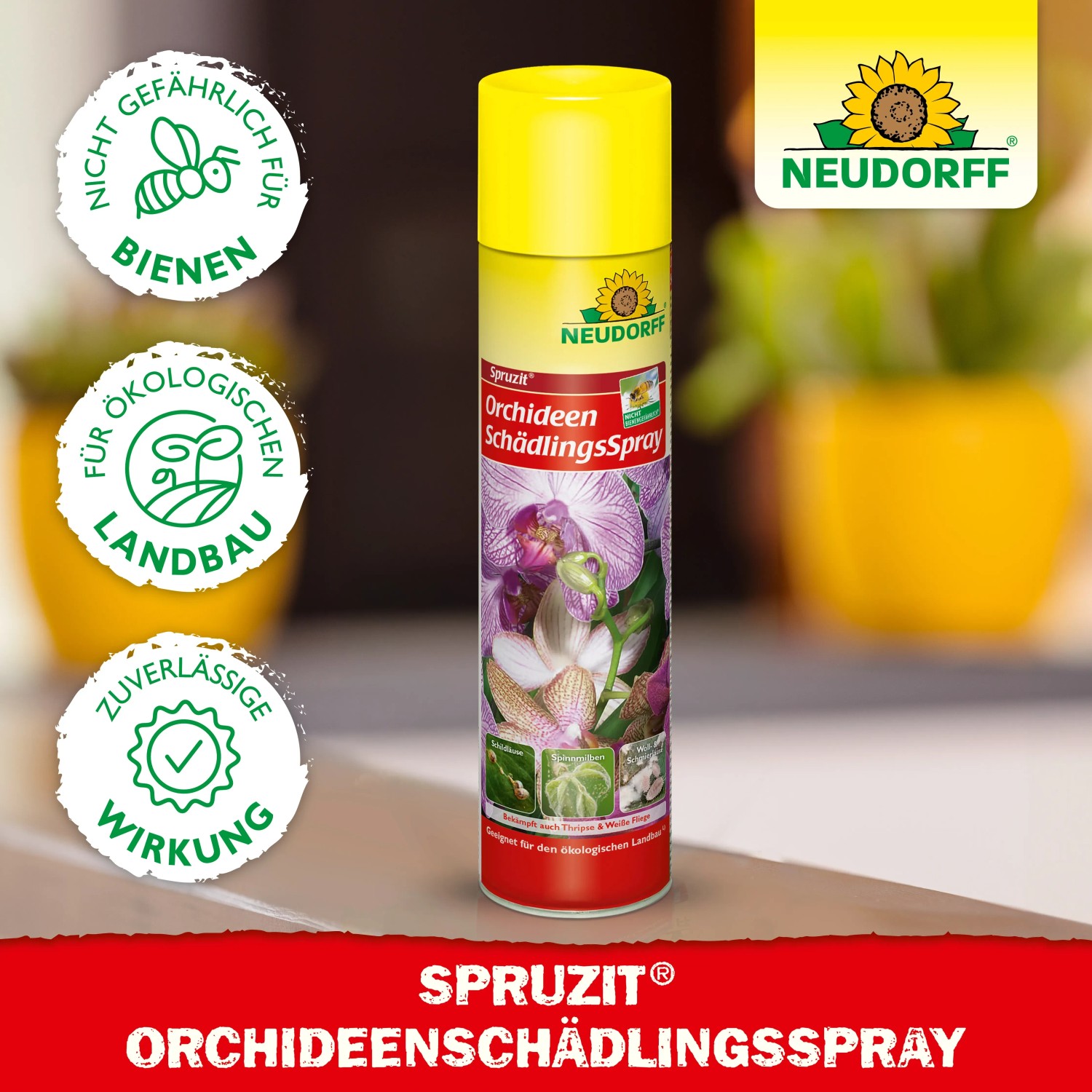 Neudorff Spruzit Orchideenschädlings-Spray 300ml zur Schädlingsbekämpfung an Orchideen.