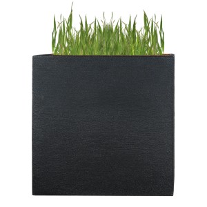 Quadratischer, anthrazitfarbener Pflanzwerk Pflanzkübel Divider aus Kunststoff mit Bepflanzung.