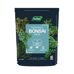 Westland Bonsaierde torffrei, 4 l Sack, mit Seramis für gesundes Wachstum und starke Wurzeln.