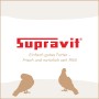 Supravit Super Reisetaubenfutter für Rassetauben_7